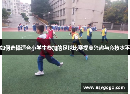 如何选择适合小学生参加的足球比赛提高兴趣与竞技水平